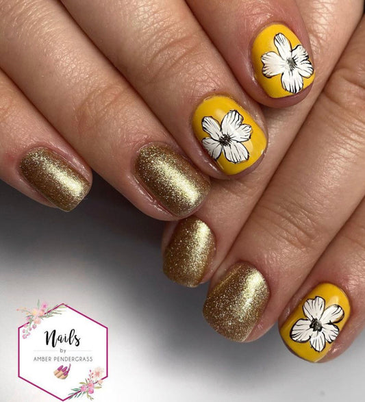 Champagne Showers (pre order once sell out eta 2weeks )