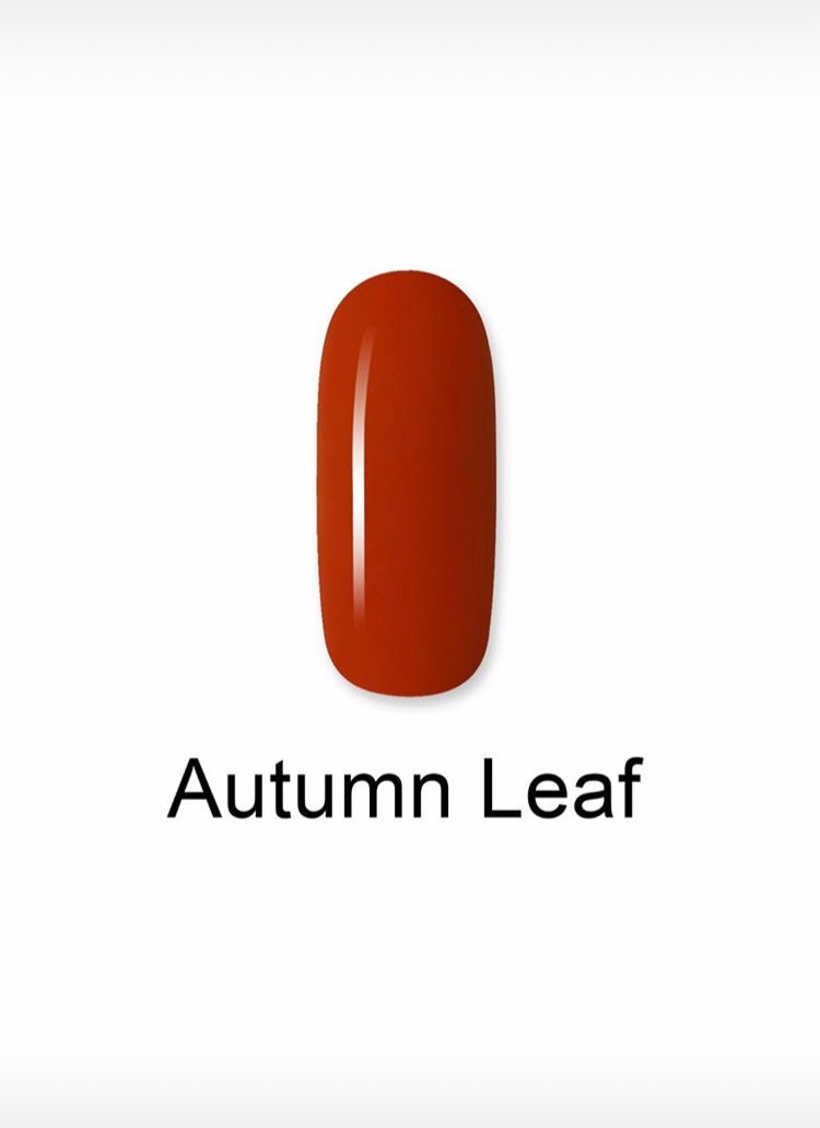 Autumn Leaf